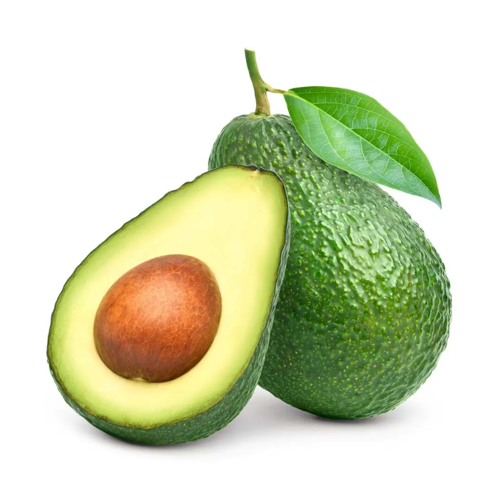 Premium Quality Avocado